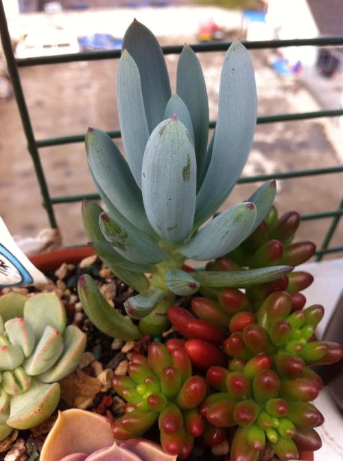 ¡°Ìì¼ÛÂÉʦ·Ñ¡±¾ø²»Êǹ¤ÉËÅâ³¥Äѵġ°¶ÔÖ¢Ò©¡±