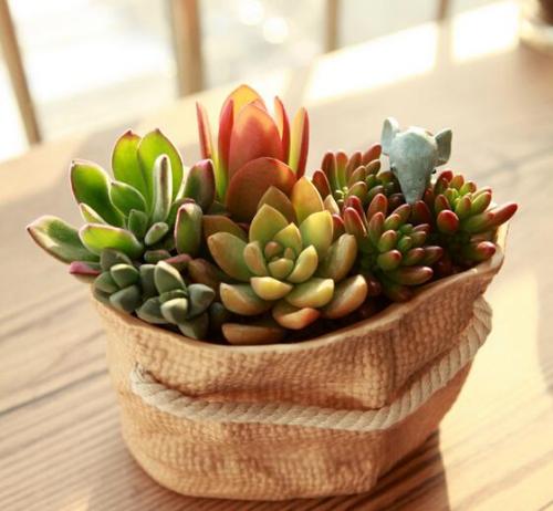 վƻش羳Ĳ 永ʽ4.4