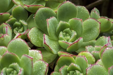 ½ÒÖ°Òµ£¢ºÚ·Û£¢½ºþ:ÈÃÕ¦ÅçÖ÷²¥¾ÍÕ¦Åç °´Á¿½áÇ®