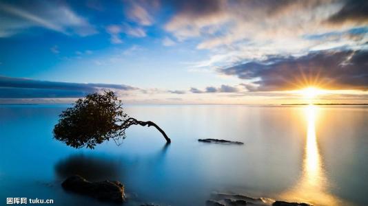 ͨ䲿Сͳ޾Ӫ߲泵ṩ