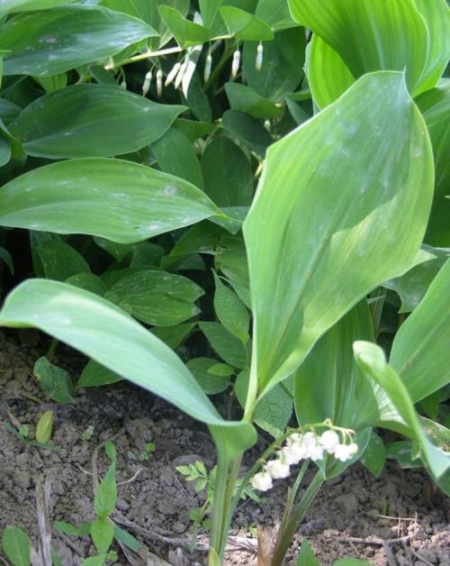 ǰ11¹ҵҵʵ57445Ԫ ͬ2.4%