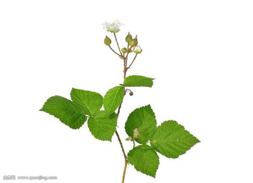 ½ÌÓý²¿²¿Êð2021ÄêÃæÏò¸Û°Ą̈µØÇøÕÐÊÕÑо¿Éú¹¤×÷