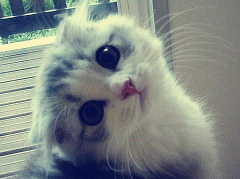 Ö£ÖÝÊ×·¢È«³Ìʱ¿Ì±íÖÐÅ·°àÁÐ ÔËÊäʱ¼äËõÖÁ11Ìì19Сʱ