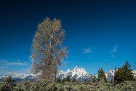 ¹ų́°ì£º2020ÄêÊǶǪ̂¹¤×÷¼«²»Æ½·²µÄÒ»Äê