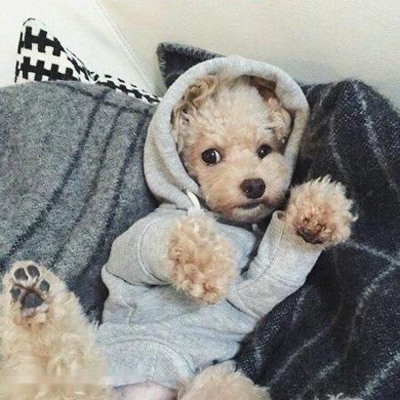 ֱΪʯҵ 㶫Ļᡰ˷硱ת