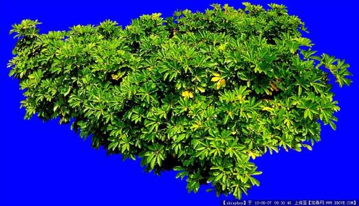 ÊÜÇ¿Àä¿ÕÆøÄÏϵÄÓ°Ïì ±±¾©Êн«³öÏÖ³ÖÐøµÍÎÂÌìÆø