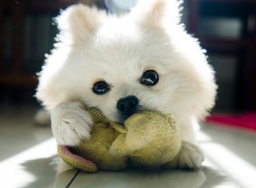 ¿ËÂÞµØÑǵØÕðÒÑÖÂ7ÈËÍö ¿ËÈ«¾³¼°ÁÚ¹ú¾ùÓÐÕð¸Ð