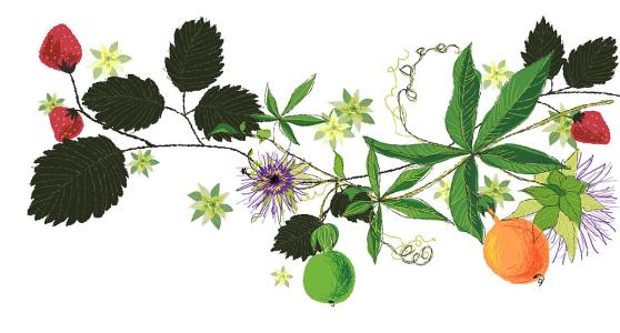 李克强同阿尔及利亚总理杰拉德通电话