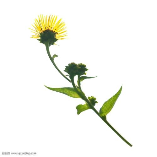 13人跨省生产包装假冒茅台酒2.7万余瓶被判刑