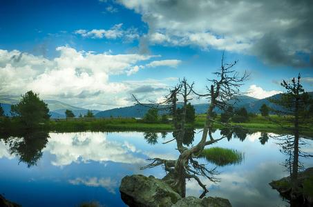 5Äêºó×Ô¶¯¼ÝÊ»ÓÐÍûÔÚÎÒ¹ú²¿·Ö³¡¾°ÊµÏÖ¹æÄ£»¯Ó¦ÓÃ