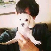 ձһ뾳߸ȾϷǳֵı¹ڲ